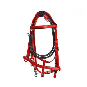 HORSE LEATHER BRIDLE